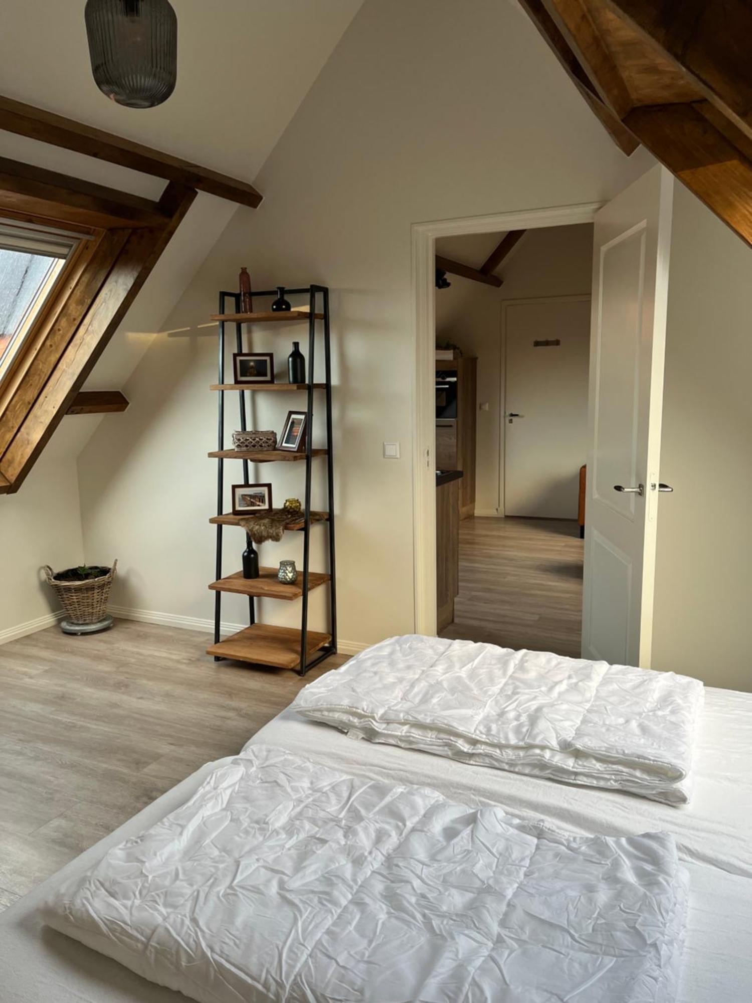 Ruim Appartement Met Sauna, Zuidstraat 125 In Westkapelle Exterior foto